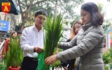 Lúa trổ đòng đắt khách ở chợ hoa Hàng Lược
